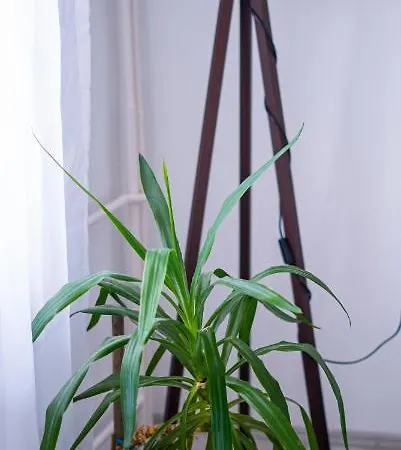 Apartament Kolev - Two Bedroom Cozy